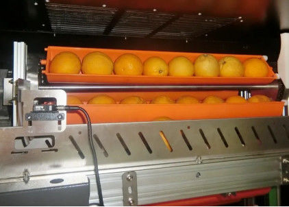 آلة بيع عصير الفاكهة السوق السوداء 800W لبرتقال التفاح